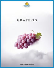 Load image into Gallery viewer, THC Disposable Coastal Carts 2.0 THCA + THCP + D8