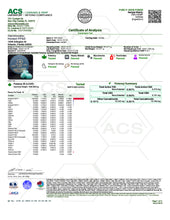 Load image into Gallery viewer, Pushin P's Pure THC-p 100mg Gummies